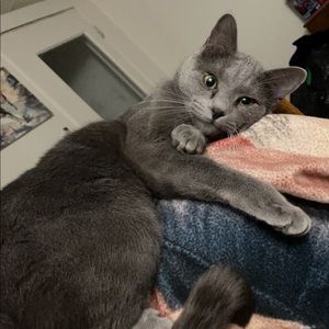 Meet your Posher, Cj